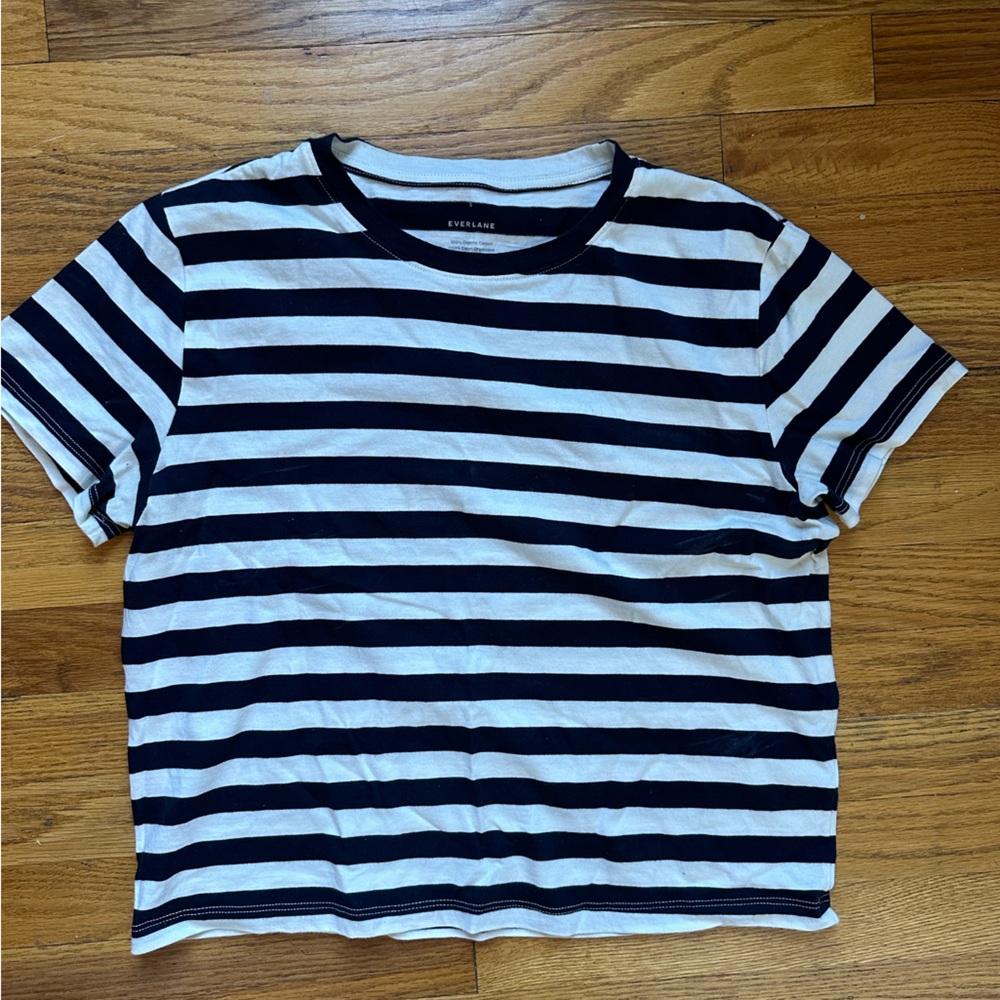 Everlane organic cotton boxy tee navy stripe